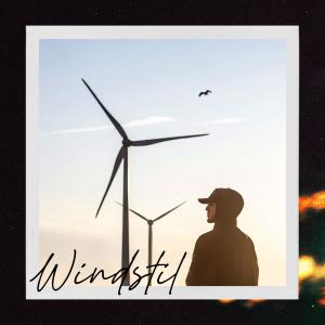 Album Windstil (Explicit) from Bird