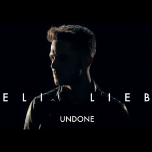 Listen to Undone song with lyrics from Eli Lieb