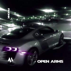 Album OPEN ARMS - PHONK oleh DRIFTMANE