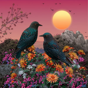 default playlist img