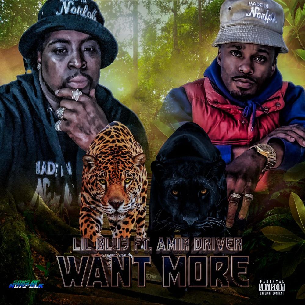 WANT MORE (feat. Amir Driver) (Explicit)