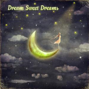 Dream Sweet Dreams的專輯Baby Sleep Tight