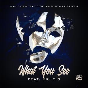 ดาวน์โหลดและฟังเพลง What You See (feat. Tony Tig) พร้อมเนื้อเพลงจาก Malcolm Payton