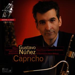 ดาวน์โหลดและฟังเพลง Concertino de Verano: Allegro พร้อมเนื้อเพลงจาก Gustavo Núñez