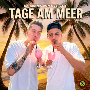 DJ Robin的專輯Tage am Meer