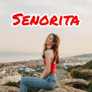 ดาวน์โหลดและฟังเพลง Senorita พร้อมเนื้อเพลงจาก Arun Stark