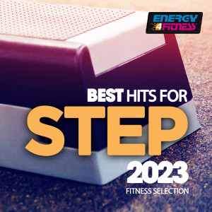 Album Best Hits For Step 2023 Fitness Selection 132 Bpm / 32 Count from D'Mixmasters
