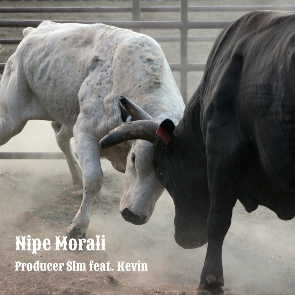 Nipe Morali