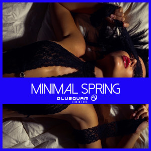 Various Artists的專輯Minimal Spring