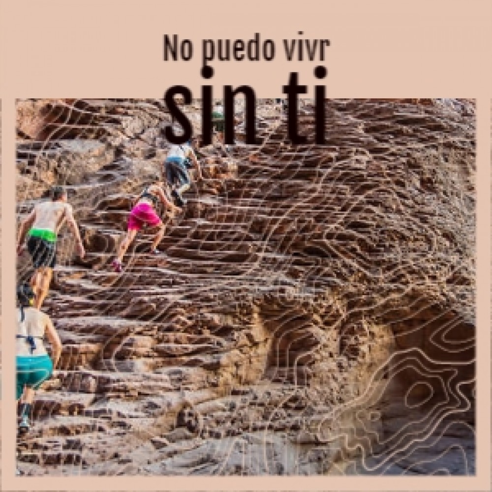 No Puedo Vivr Sin Ti