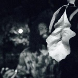 收聽Nahle的gold in the fog (Explicit)歌詞歌曲