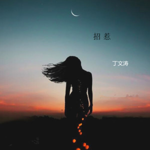 收听丁文涛的招惹 (完整版)歌词歌曲