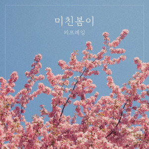 피프레임的专辑미친봄이