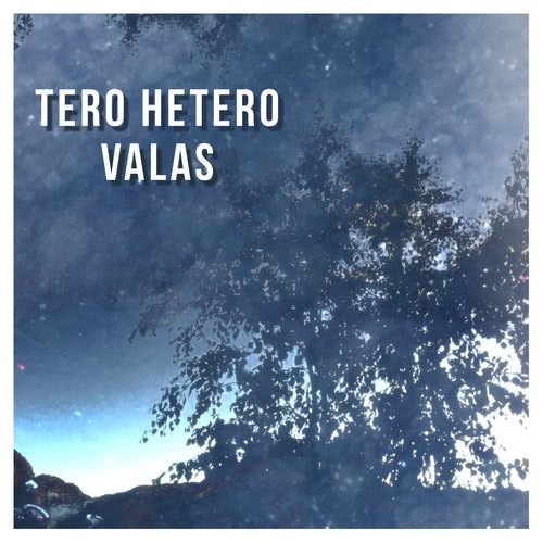 Valas (Radio Edit)