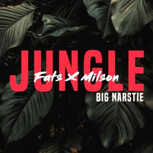 收聽Fats的Jungle (feat. Imech) (Explicit)歌詞歌曲