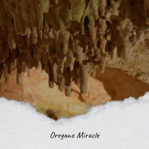 Listen to Fanfare song with lyrics from Danee Lebs