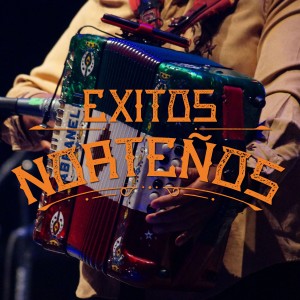 Los Idolos del Norte的專輯Exitos Norteños