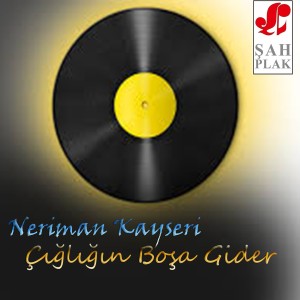 ดาวน์โหลดและฟังเพลง Dünyanın Tadına พร้อมเนื้อเพลงจาก Neriman Kayseri