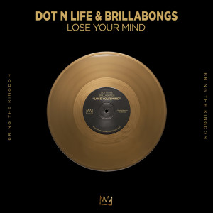 Album Lose Your Mind from Dot N Life