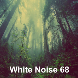 อัลบัม 천막 위에 떨어지는 빗소리 (빗소리 백색소음 화이트노이즈 수면 자장가) ศิลปิน White Noise