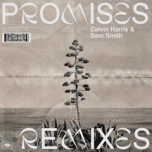 ดาวน์โหลดและฟังเพลง Promises (Franky Rizardo Remix) (Franky Rizardo Extended Remix) พร้อมเนื้อเพลงจาก Calvin Harris