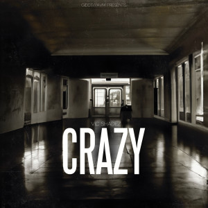 ดาวน์โหลดและฟังเพลง Crazy พร้อมเนื้อเพลงจาก Vic Shadez