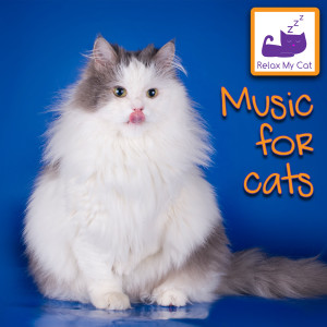 Dengarkan lagu Autumn Leaves nyanyian RelaxMyCat dengan lirik
