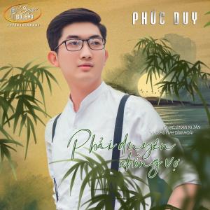 Album Phải Duyên Chồng Vợ from 