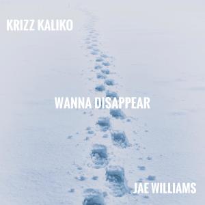 Wanna Disappear (feat. Krizz Kaliko) (Explicit)