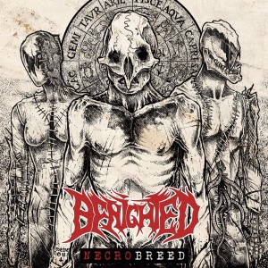 ดาวน์โหลดและฟังเพลง Necrobreed พร้อมเนื้อเพลงจาก Benighted