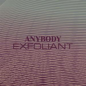 อัลบัม Anybody Exfoliant ศิลปิน Various