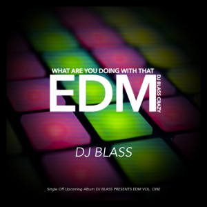 Album What Are You Doing with That Edm DJ Blass Crazy from 