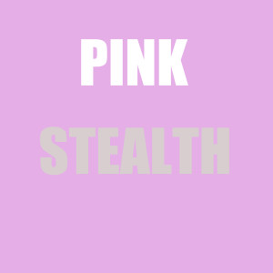 Listen to Pink song with lyrics from Stealth