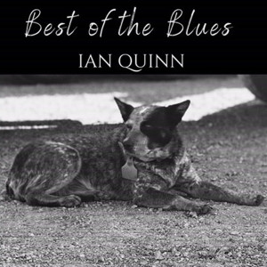 ดาวน์โหลดและฟังเพลง Best Of The Blues พร้อมเนื้อเพลงจาก Ian Quinn