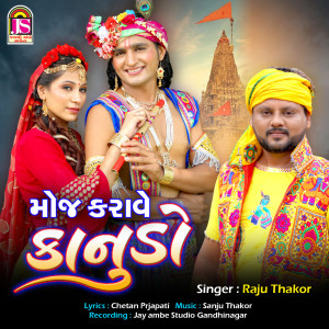 Album Moj Karave Kanudo from Raju Thakor
