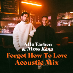 อัลบัม Forgot How to Love (Acoustic Mix) ศิลปิน Alle Farben
