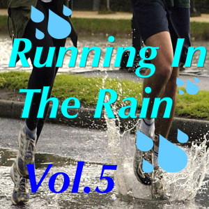 Album Running In The Rain, Vol. 5 from Various