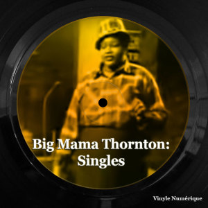 收聽Big Mama Thornton的Big Mama's Coming Home歌詞歌曲