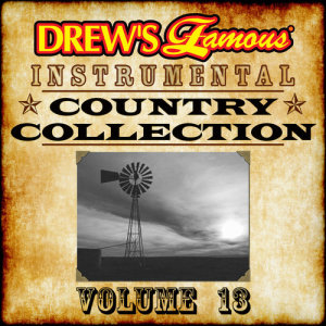 ดาวน์โหลดและฟังเพลง I Really Don't Want To Know (Instrumental) พร้อมเนื้อเพลงจาก The Hit Crew