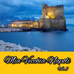 Album Mia Vecchia Napoli Vol. 8 from Various