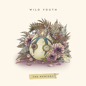 Album Wild Youth (The Remixes) from Dabin