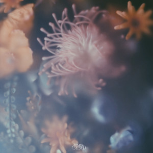 ดาวน์โหลดและฟังเพลง Parfum พร้อมเนื้อเพลงจาก Raine Cloud
