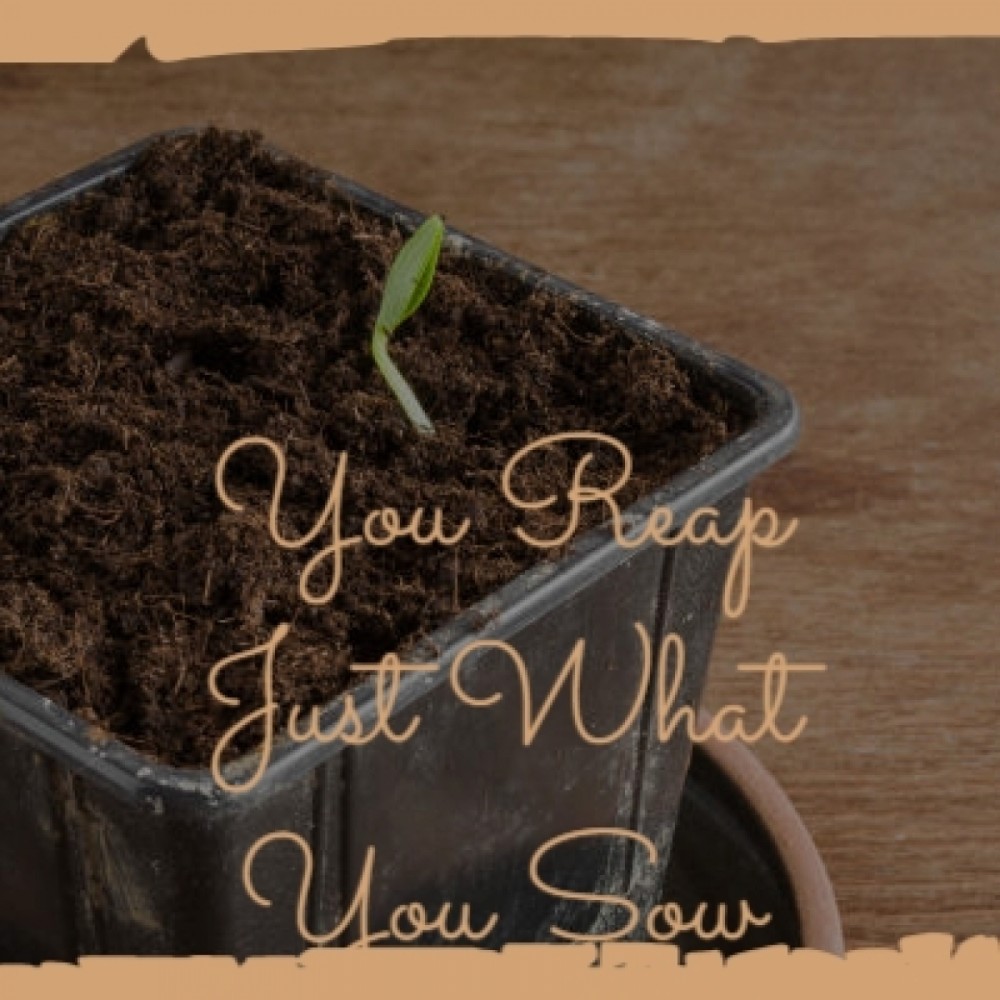 You Reap Just What You Sow