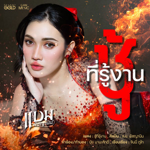 ดาวน์โหลดและฟังเพลง ชู้ที่รู้งาน พร้อมเนื้อเพลงจาก แบม พิชญานิน