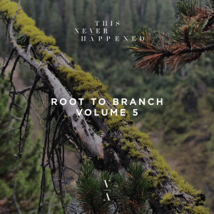 Pauke Schaumburg的專輯Root to Branch, Vol. 5