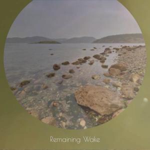 Album Remaining Wake from Various