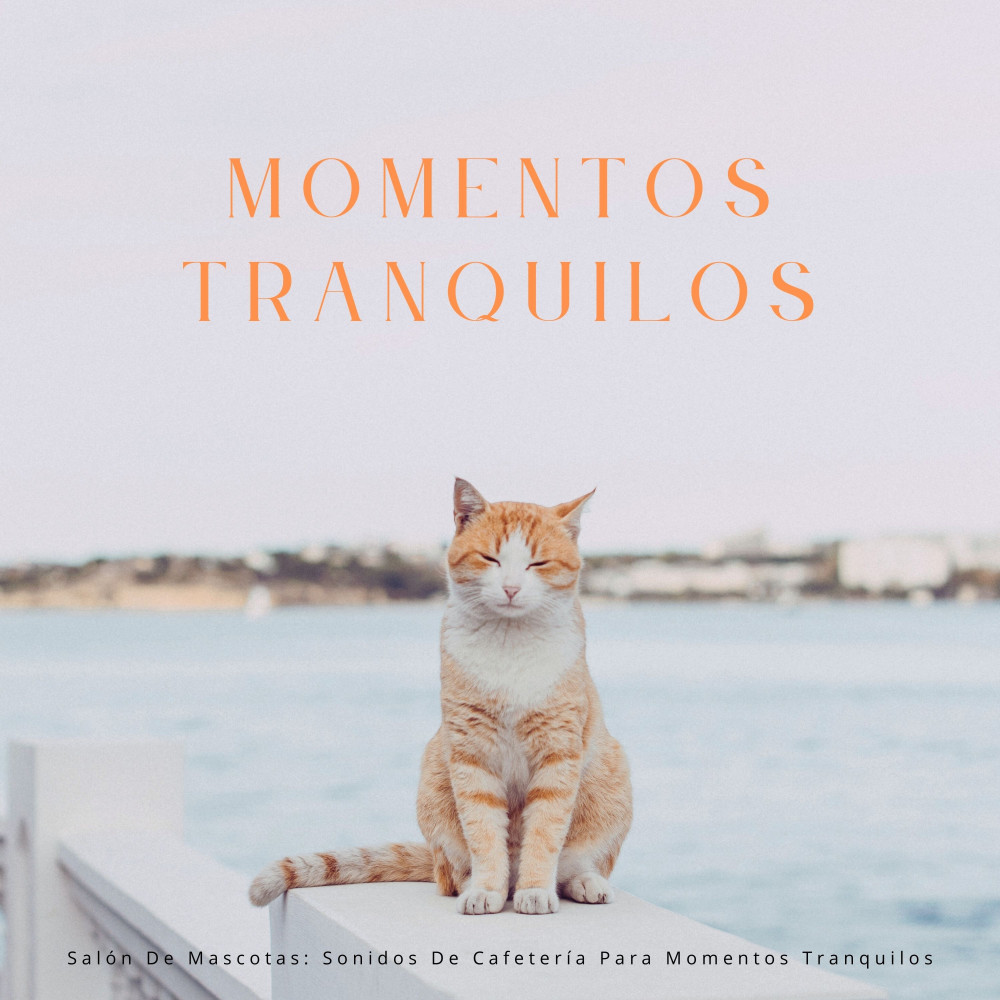 Ritmos De Cafetería Relajantes