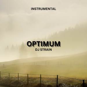 Optimum (Instrumental)