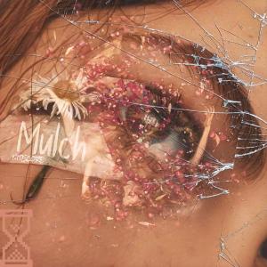 อัลบัม Mulch (NITECORE) (Explicit) ศิลปิน Timeless Archive