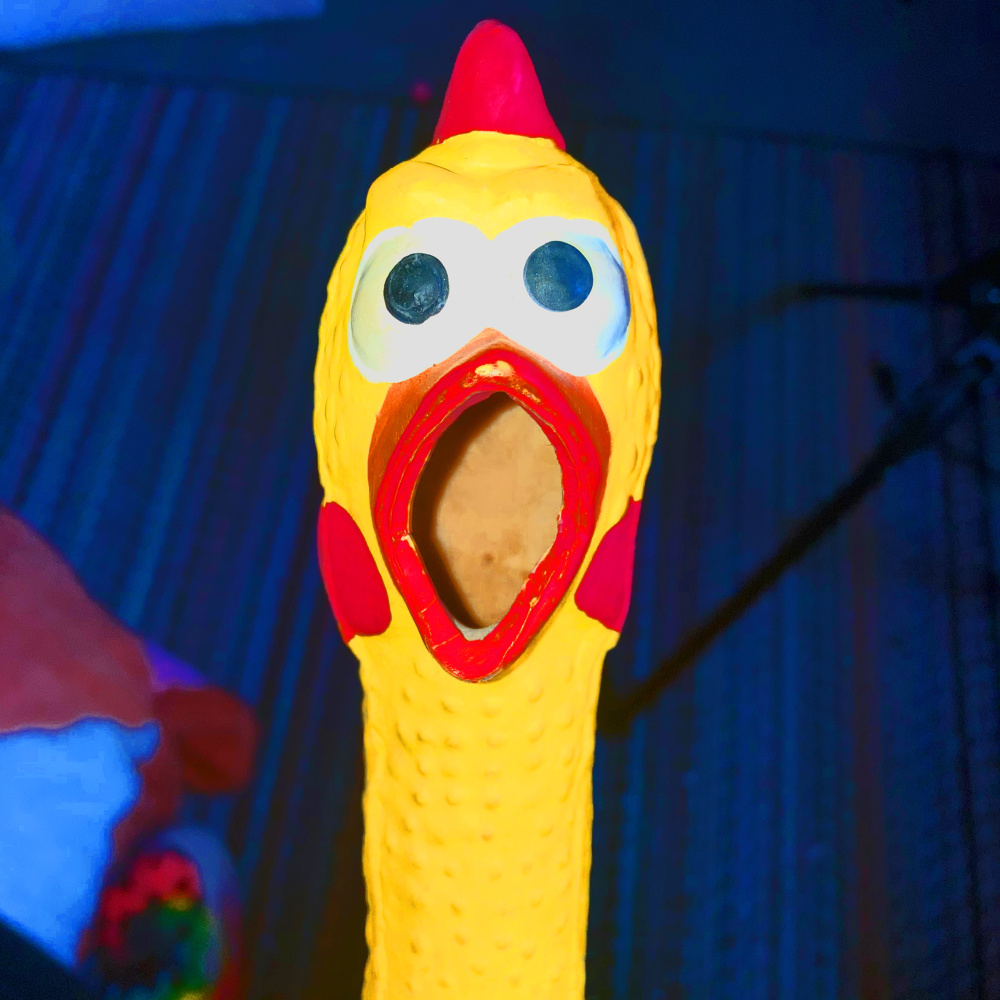 Squeaking My Rubber Chicken While Occasionally Cursing (Explicit)